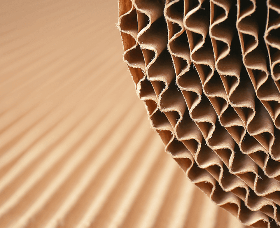 Corrugated cardboard
